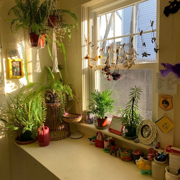 Meet your Posher, Anna - Picture 5 of 14